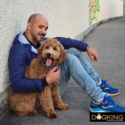 Dog panting during a canicross run.