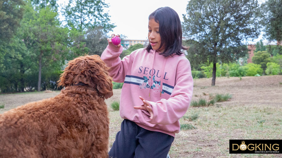 Persiona lPersona lanzándole la pelota al perro nzandole la pelota al perro 