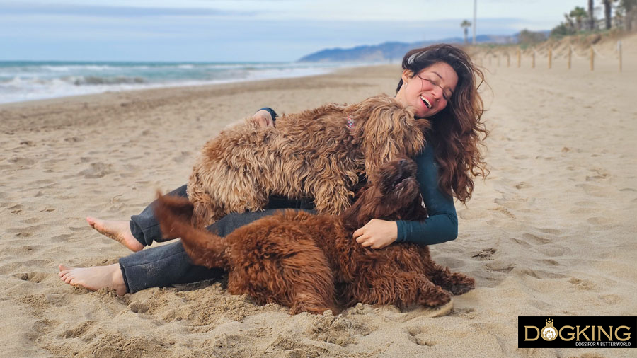 Perros jugando juntos Perros jugando juntos.