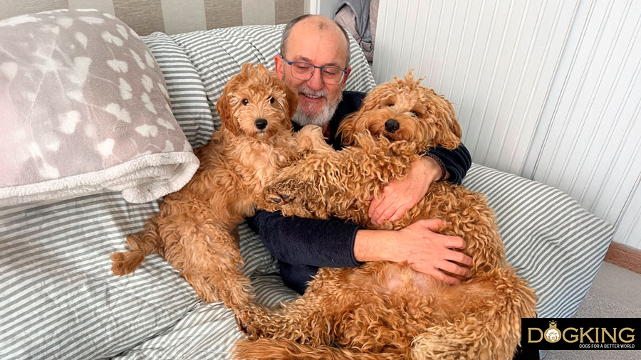 Gos rebent correcció suau