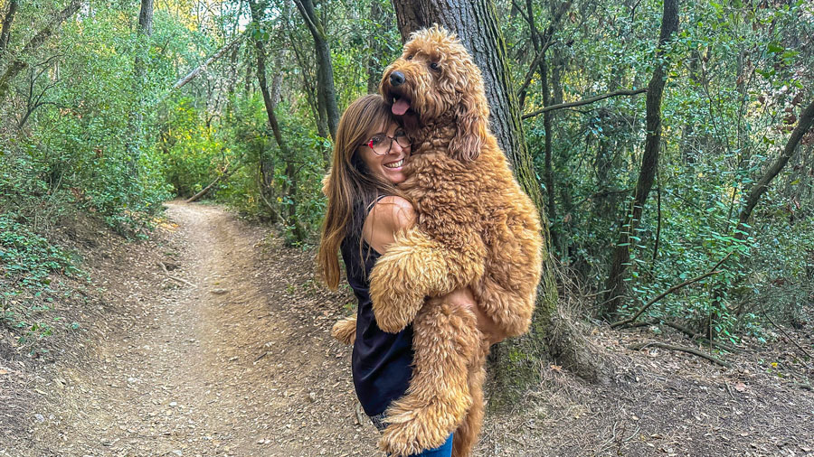 Las necesidades básicas de los perros