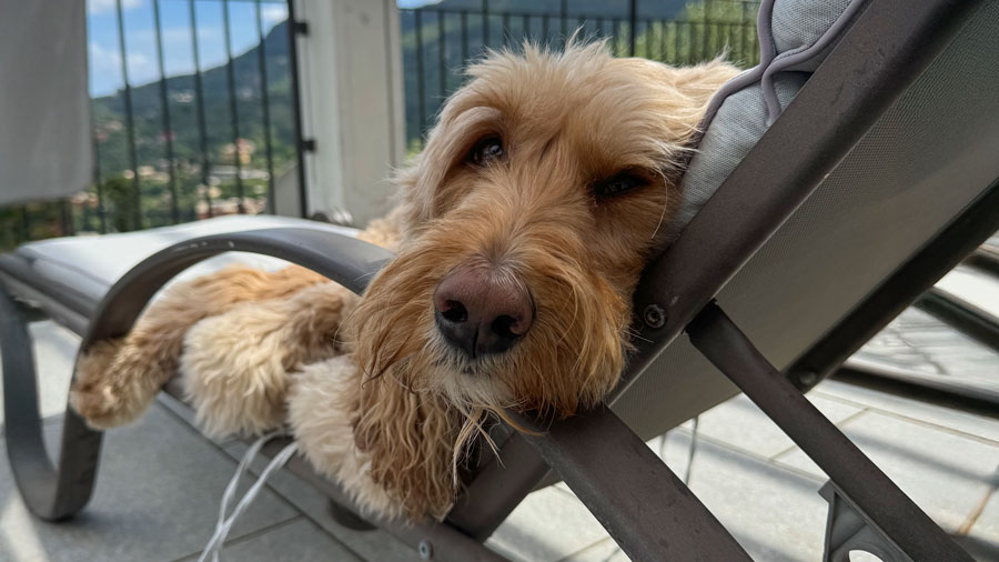 Imagen de prueba horizontal negra