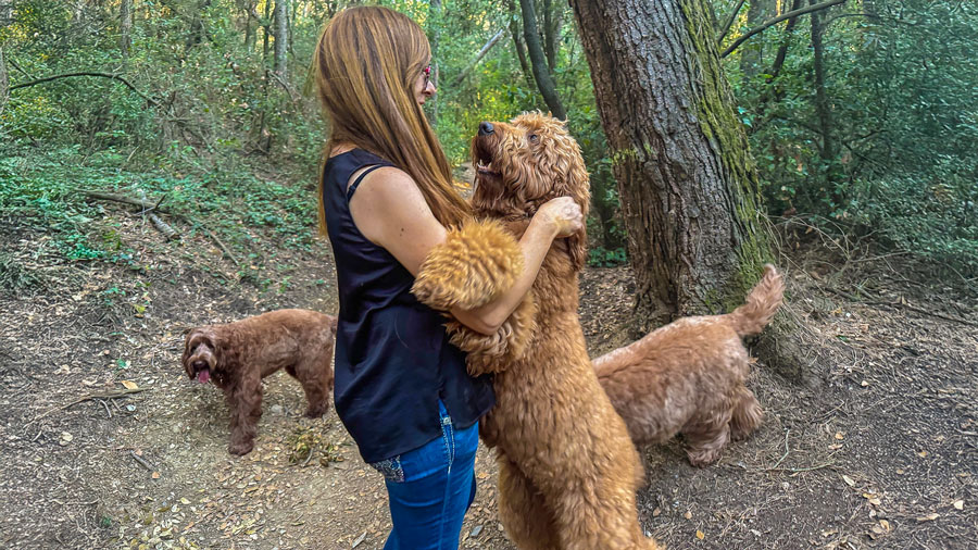 Imagen de prueba horizontal negra