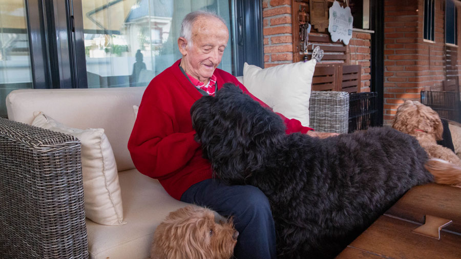 Imagen de prueba horizontal negra