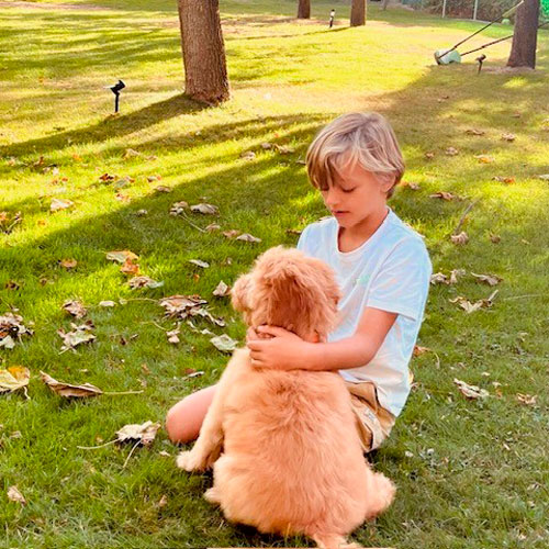 Why am I afraid of dogs