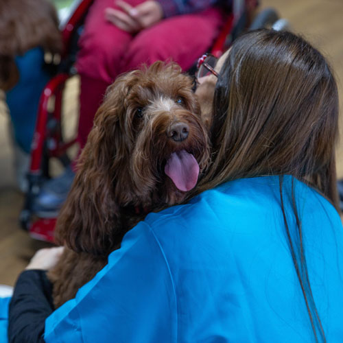Dog-assisted therapy