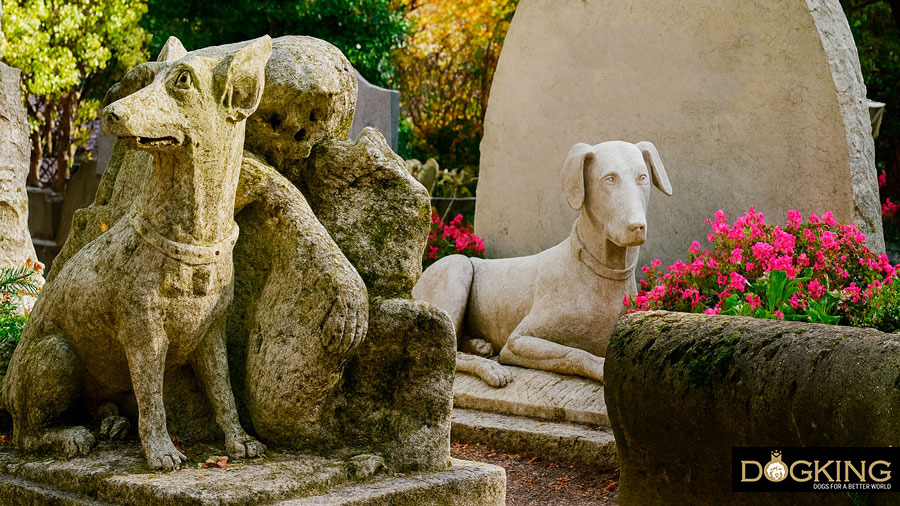 Pet cemetery: a special way to say goodbye to your dog.