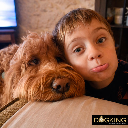 Your personality influences your dog's personality