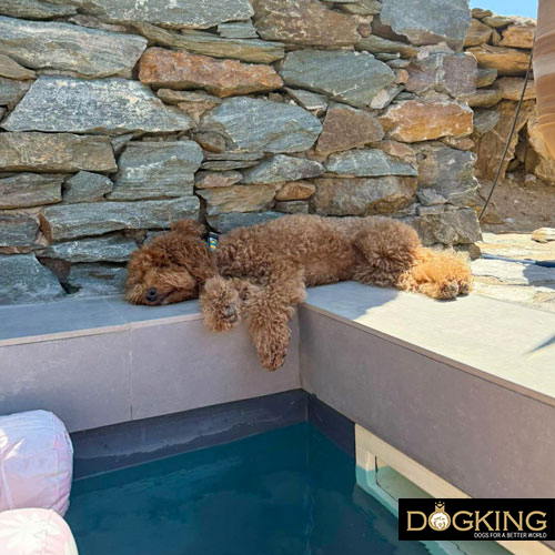 Lifestyle: more exercise, more rest