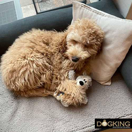 Environmental factors: bad weather, good sleep