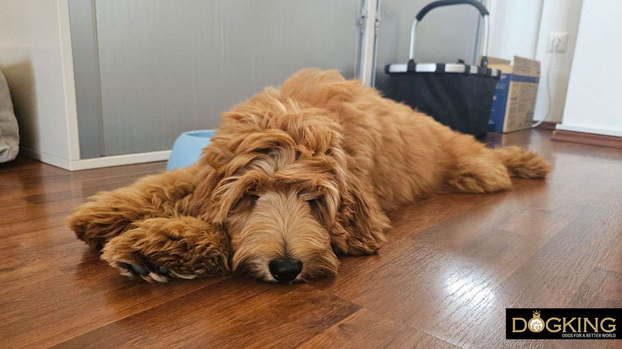 When should I be concerned?