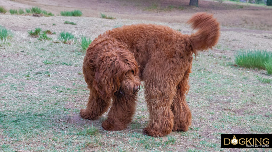 it's not a game, it's a sign it's not a game, it's a sign