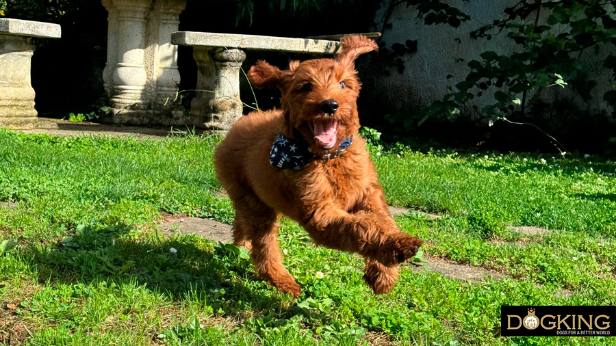 it's not a game, it's a sign