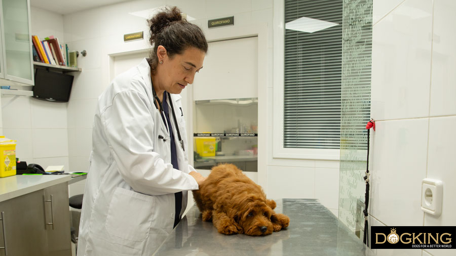 it's not a game, it's a sign