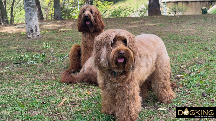 it's not a game, it's a sign