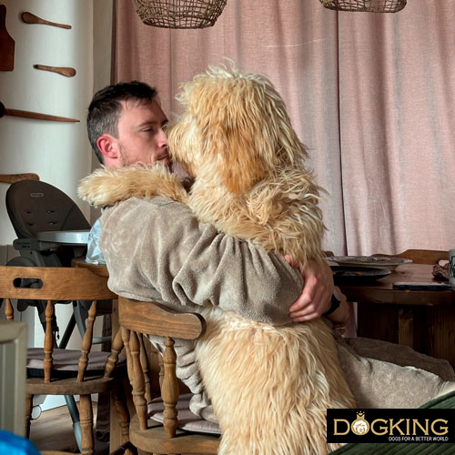 because they want your attention