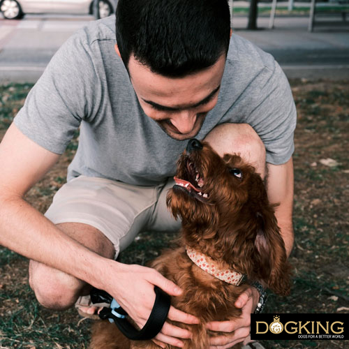 because of an anxiety problem