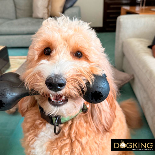 Vorteile für die Zähne