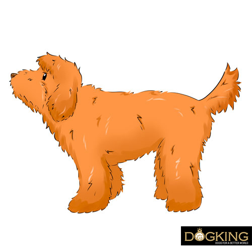 Totally immobile tail