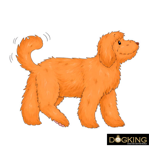 Tail wagging from side to side