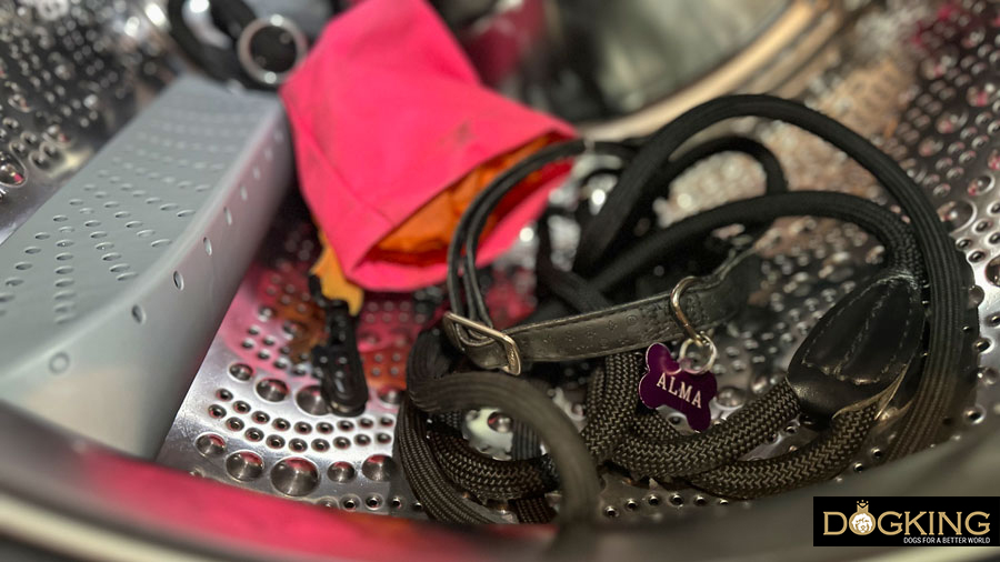 How can I get rid of my dog's fleas?