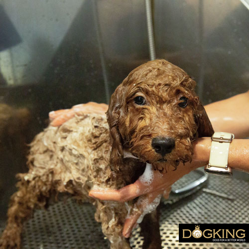 Because they are glad the bath is over