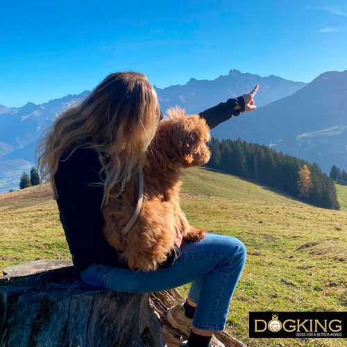 Does my dog understand when I speak to him?