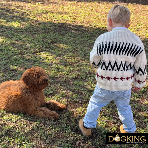 Does my dog understand when I speak to him?