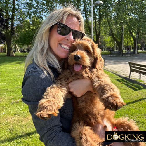 Does my dog understand when I speak to him?