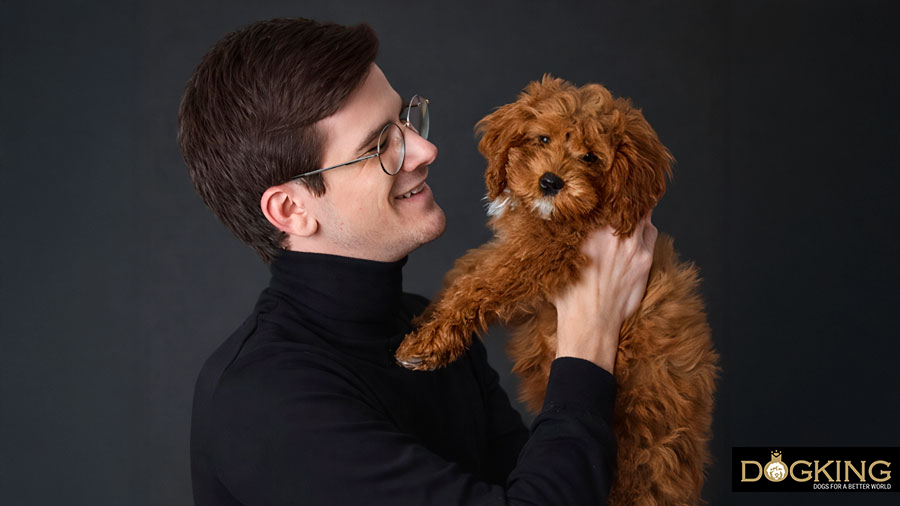 Why is a dog man's best friend?