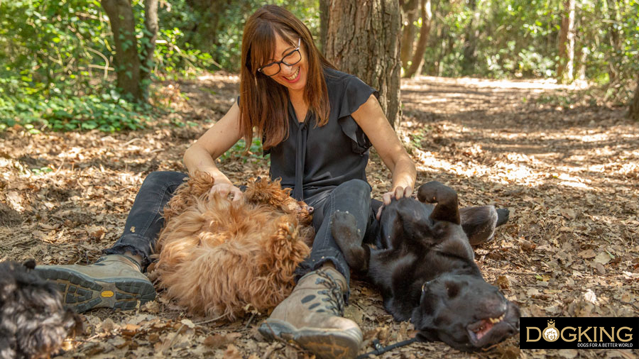 Ways to make your dog happy