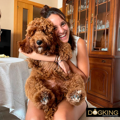 Ways to make your dog happy