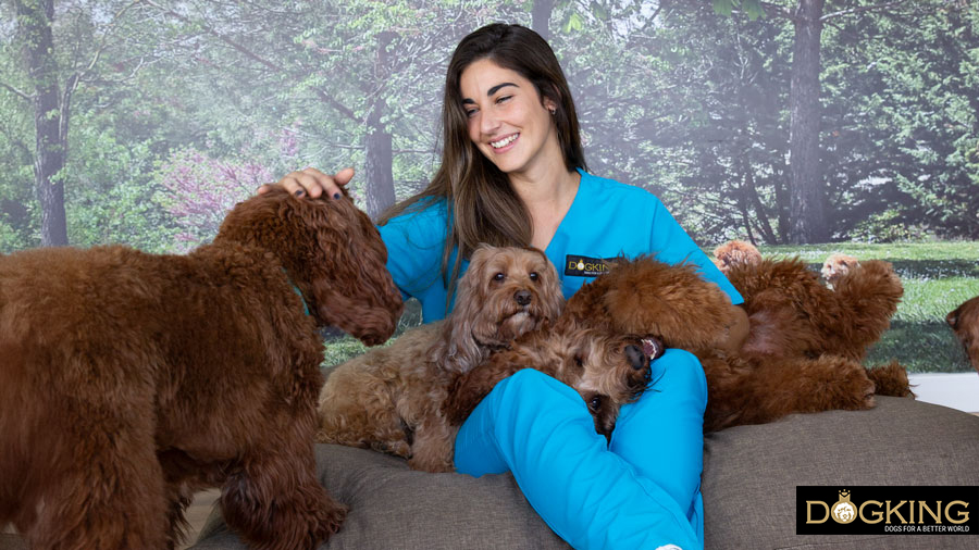 Dogs talk to us Dogs talk to us