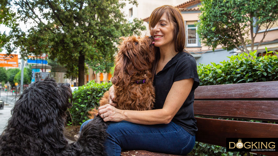 Dogs talk to us Dog communicating with its owner through body language