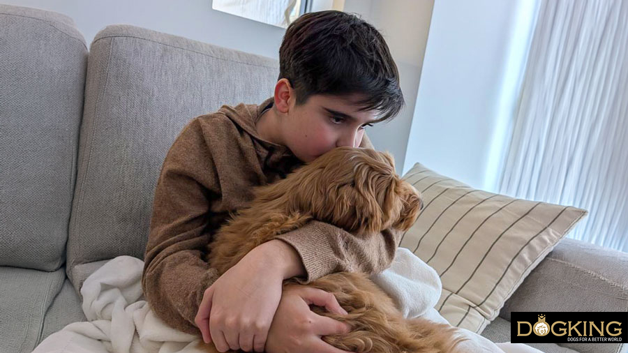 Les chiens captent les émotions