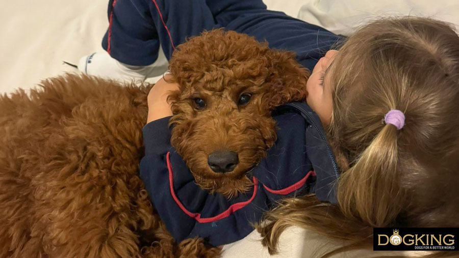 chien réconfortant son maître triste