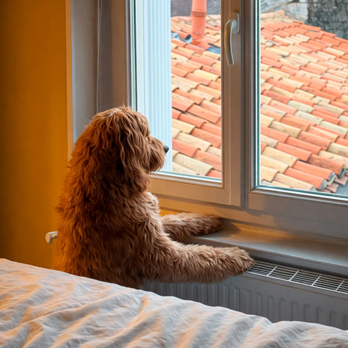 Las rutinas en el día a día