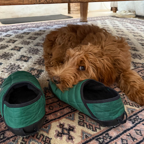 El rastro de tu olor