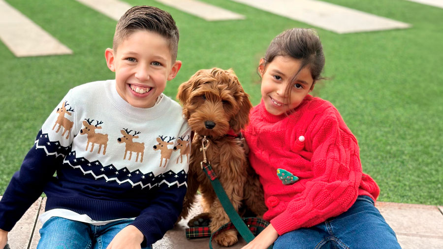 Sounds that dogs make