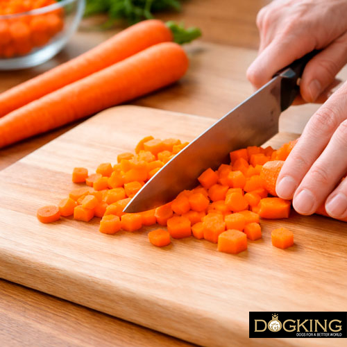 Cause della diarrea nei cani