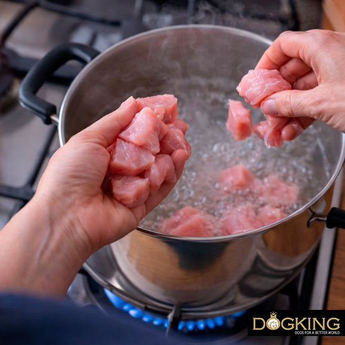 Cause della diarrea nei cani