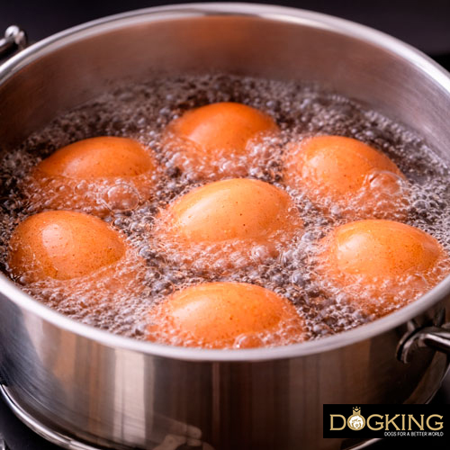 Cause della diarrea nei cani