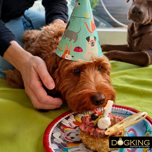 Dog-Birthdays