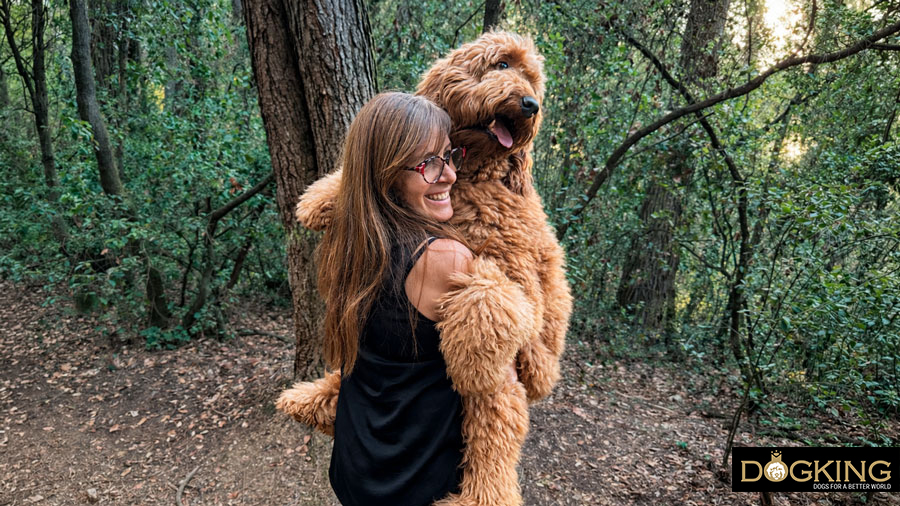 Carrying a dog correctly