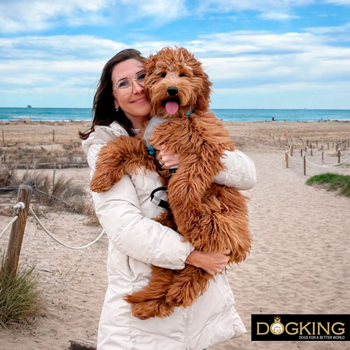 Carrying a dog correctly