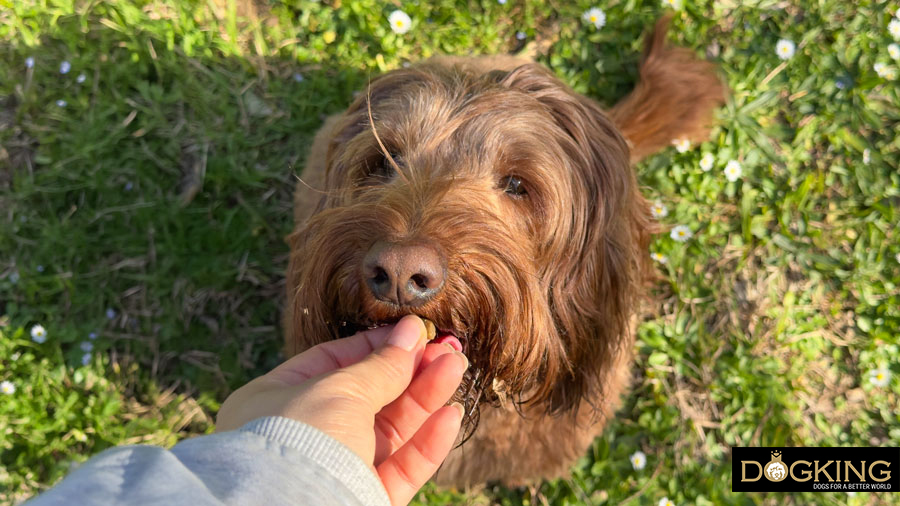 Take the prize gently