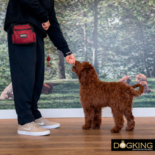 Take the prize gently