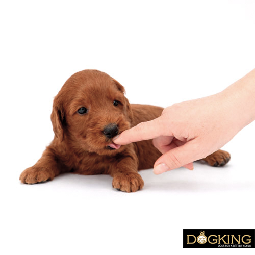 Take the prize gently