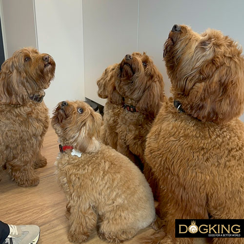 Take the prize gently