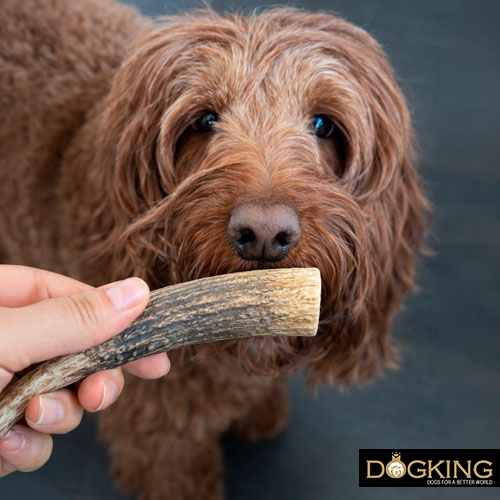 Take the prize gently